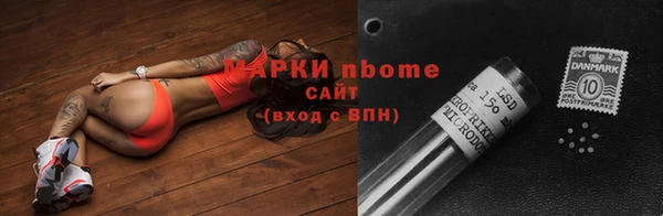 крисы Алзамай