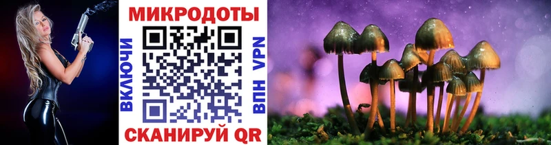Псилоцибиновые грибы Cubensis  Зеленокумск 